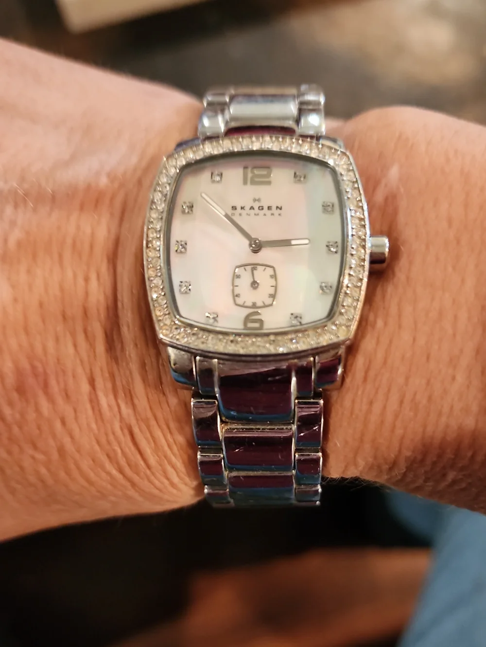 Skagen Silver Stainless Steel Watch with Mother-of-Pearl Dial
